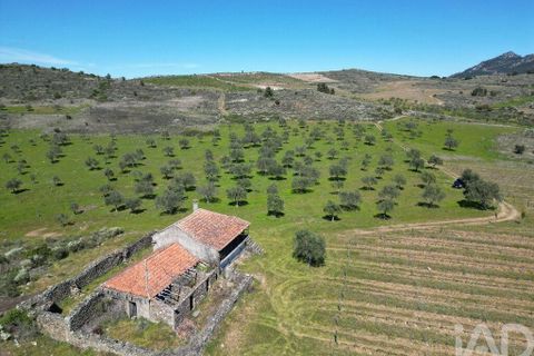 Gård i Vila Flor, Braganca, Vila Flor - € 540 000 | Ref: 858452 - foto 28