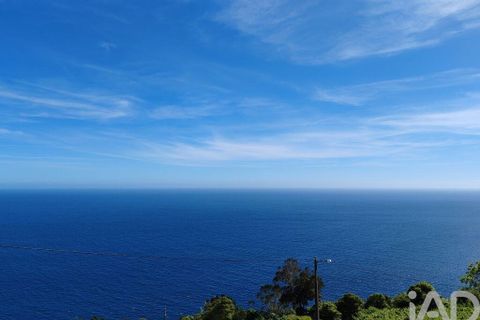 Byhus i Lajes do Pico, Pico, Lajes do Pico - € 110.000 | Ref: 858076 - foto 4