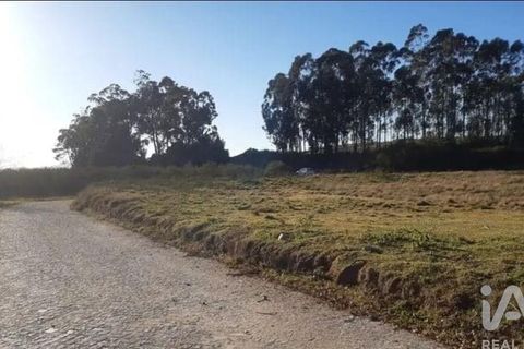Terra a Penafiel, Porto, Penafiel - € 124.900 | Ref: 860817 - foto 2