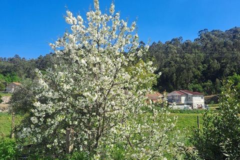 Terra a Penafiel, Porto, Penafiel - € 124.900 | Ref: 860817 - foto 3