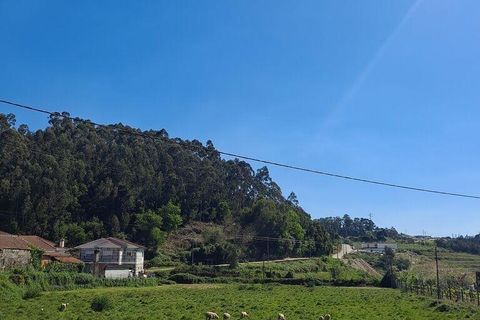 Terra a Penafiel, Porto, Penafiel - € 124.900 | Ref: 860817 - foto 5