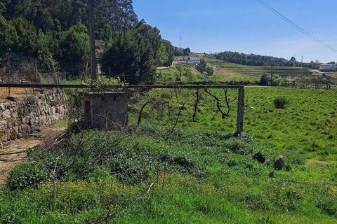 Terra a Penafiel, Porto, Penafiel - € 124.900 | Ref: 860817 - foto 6
