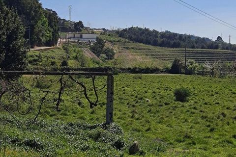 Terra a Penafiel, Porto, Penafiel - € 124.900 | Ref: 860817 - foto 10