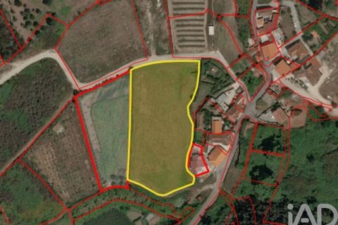 Terra a Penafiel, Porto, Penafiel - € 124.900 | Ref: 860817 - foto 11