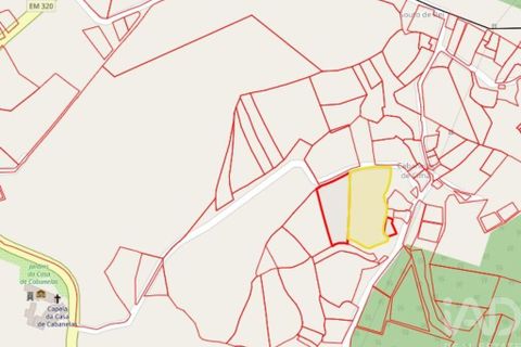 Terra a Penafiel, Porto, Penafiel - € 124.900 | Ref: 860817 - foto 12