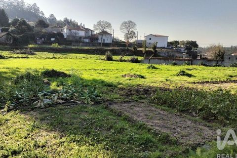 Terra a Penafiel, Porto, Penafiel - € 79.000 | Ref: 848569 - foto 3