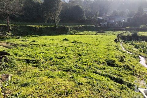 Terra a Penafiel, Porto, Penafiel - € 79.000 | Ref: 848569 - foto 4