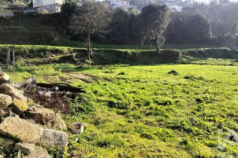 Terra a Penafiel, Porto, Penafiel - € 79.000 | Ref: 848569 - foto 5