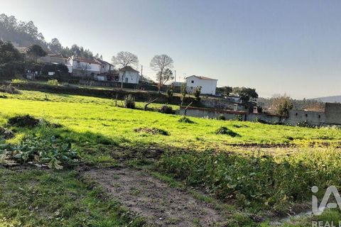 Terra a Penafiel, Porto, Penafiel - € 79.000 | Ref: 848569 - foto 6