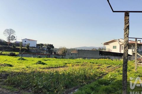 Terra a Penafiel, Porto, Penafiel - € 79.000 | Ref: 848569 - foto 7