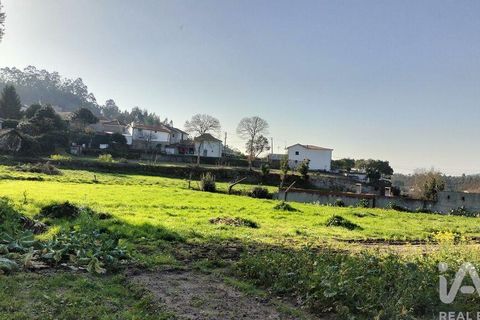 Terra a Penafiel, Porto, Penafiel - € 79.000 | Ref: 848569 - foto 8