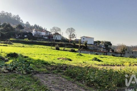 Terra a Penafiel, Porto, Penafiel - € 79.000 | Ref: 848569 - foto 9