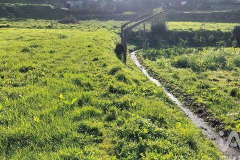 Terra a Penafiel, Porto, Penafiel - € 79.000 | Ref: 848569 - foto 10