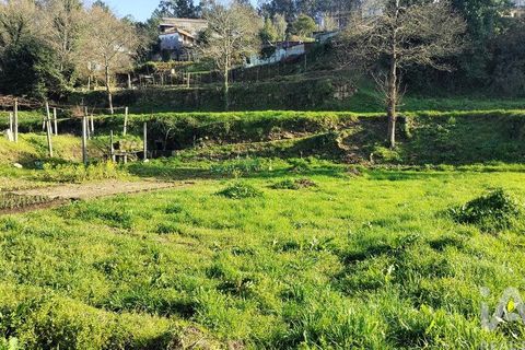 Terra a Penafiel, Porto, Penafiel - € 79.000 | Ref: 848569 - foto 12