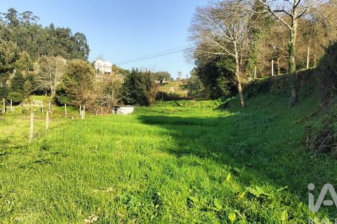 Terra a Penafiel, Porto, Penafiel - € 79.000 | Ref: 848569 - foto 14