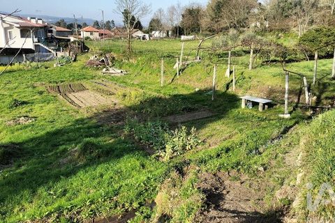 Terra a Penafiel, Porto, Penafiel - € 79.000 | Ref: 848569 - foto 15