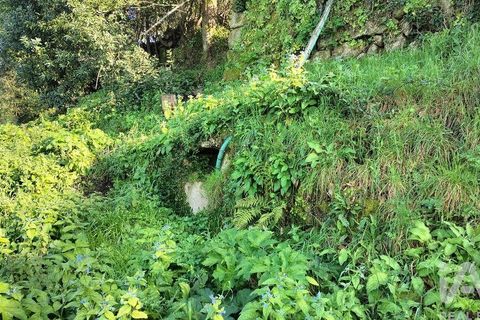 Terra a Penafiel, Porto, Penafiel - € 79.000 | Ref: 848569 - foto 18