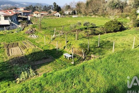 Terra a Penafiel, Porto, Penafiel - € 79.000 | Ref: 848569 - foto 20