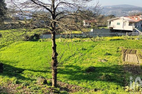 Terra a Penafiel, Porto, Penafiel - € 79.000 | Ref: 848569 - foto 21