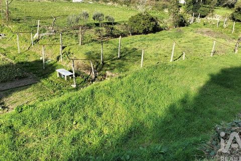 Terra a Penafiel, Porto, Penafiel - € 79.000 | Ref: 848569 - foto 24