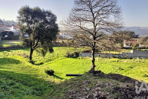 Terra a Penafiel, Porto, Penafiel - € 79.000 | Ref: 848569 - foto 25