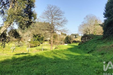 Terra a Penafiel, Porto, Penafiel - € 79.000 | Ref: 848569 - foto 31