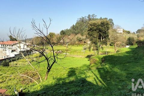 Terra a Penafiel, Porto, Penafiel - € 79.000 | Ref: 848569 - foto 33