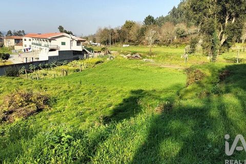 Terra a Penafiel, Porto, Penafiel - € 79.000 | Ref: 848569 - foto 36