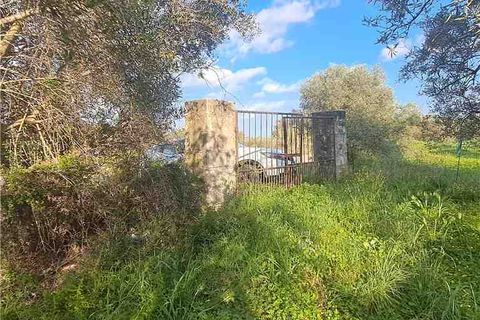 Erhvervsejendom i Narbolia, Oristano, Narbolia - € 16.500 | Ref: MAR201 - foto 1