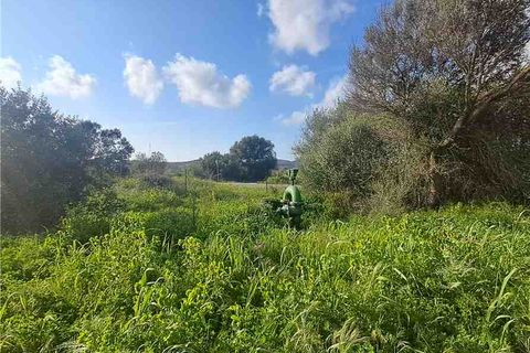 Erhvervsejendom i Narbolia, Oristano, Narbolia - € 16.500 | Ref: MAR201 - foto 3