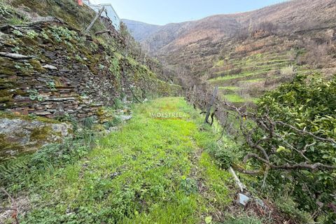 Landejendom i Seia, Guarda, Seia - € 85.000 | Ref: 26004 - foto 10