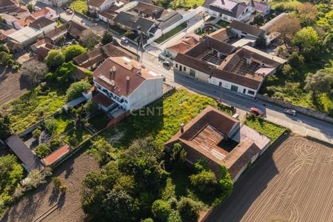 Helårsgrund i Aveiro, Aveiro, Aveiro - € 120.000 | Ref: C0510-00577 - foto 7