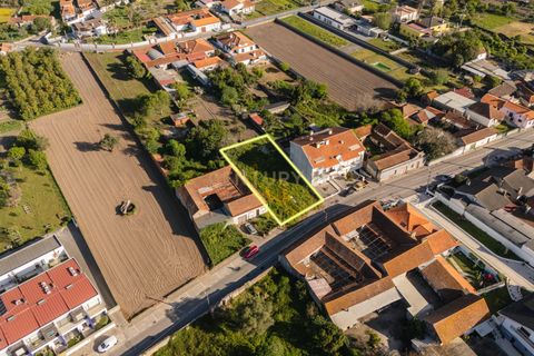 Helårsgrund i Aveiro, Aveiro, Aveiro - € 120.000 | Ref: C0510-00577 - foto 14