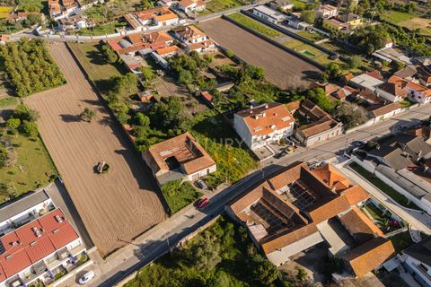 Helårsgrund i Aveiro, Aveiro, Aveiro - € 120.000 | Ref: C0510-00577 - foto 15