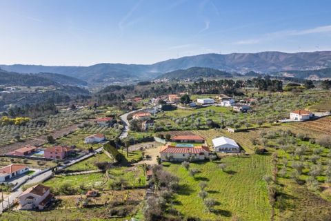 Farm i Tarouca, Viseu, Tarouca - € 990.000 | Ref: LS05584 - foto 9