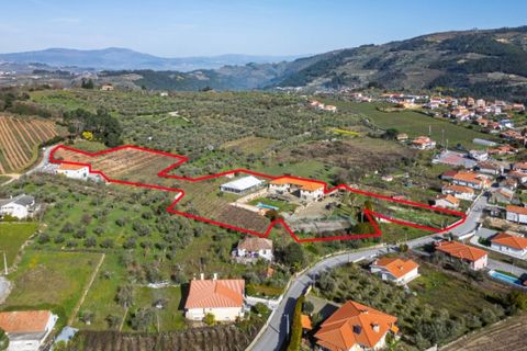 Farm i Tarouca, Viseu, Tarouca - € 990.000 | Ref: LS05584 - foto 25