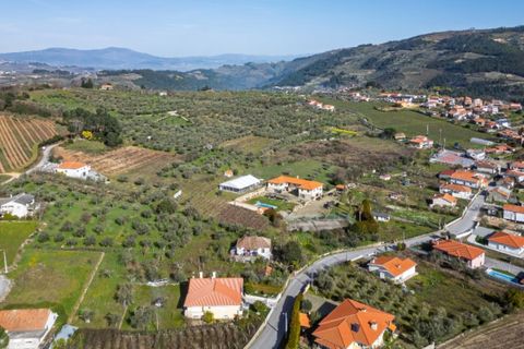 Farm i Tarouca, Viseu, Tarouca - € 990.000 | Ref: LS05584 - foto 27