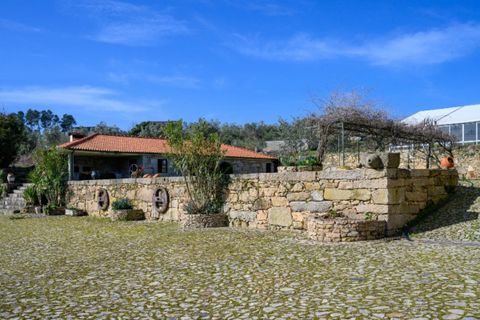 Farm i Tarouca, Viseu, Tarouca - € 990.000 | Ref: LS05584 - foto 28