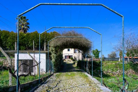 Farm i Tarouca, Viseu, Tarouca - € 990.000 | Ref: LS05584 - foto 30