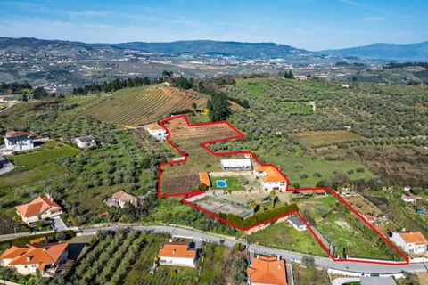 Farm i Tarouca, Viseu, Tarouca - € 990.000 | Ref: LS05584 - foto 32