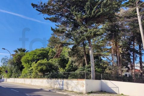 Helårsgrund i Oeiras, Lisbon, Oeiras - € 875.000 | Ref: SÒL_2136 - foto 8
