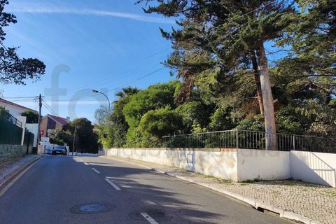 Helårsgrund i Oeiras, Lisbon, Oeiras - € 875.000 | Ref: SÒL_2136 - foto 39