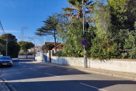 Helårsgrund i Oeiras, Lisbon, Oeiras - € 875.000 | Ref: SÒL_2136 - foto 40
