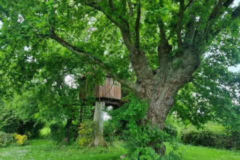 Villa i La Celle-Dunoise, Creuse, La Celle-Dunoise - € 230.000 | Ref: 340932817611 - foto 14