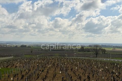 Villa i Vire, Saone-et-Loire, Vire - € 209.000 | Ref: 340931788753 - foto 2