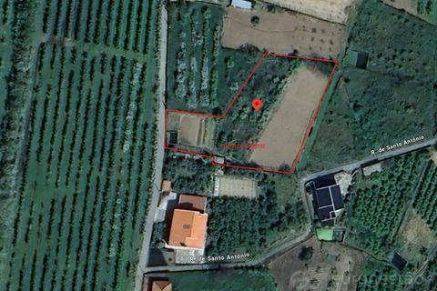 Terra a Cepoes, Viseu, Cepoes - € 27.500 | Ref: LMG_4095 - N - foto 2