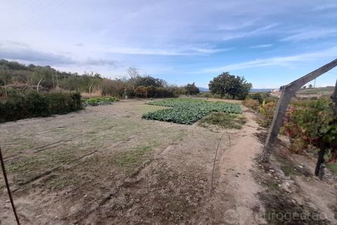Terra a Cepoes, Viseu, Cepoes - € 27.500 | Ref: LMG_4095 - N - foto 3