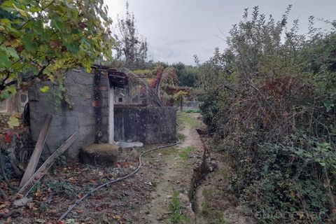 Terra a Cepoes, Viseu, Cepoes - € 27.500 | Ref: LMG_4095 - N - foto 4