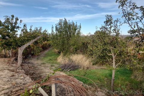 Terra a Cepoes, Viseu, Cepoes - € 27.500 | Ref: LMG_4095 - N - foto 5