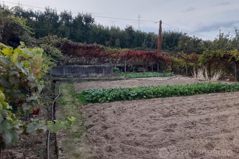 Terra a Cepoes, Viseu, Cepoes - € 27.500 | Ref: LMG_4095 - N - foto 6